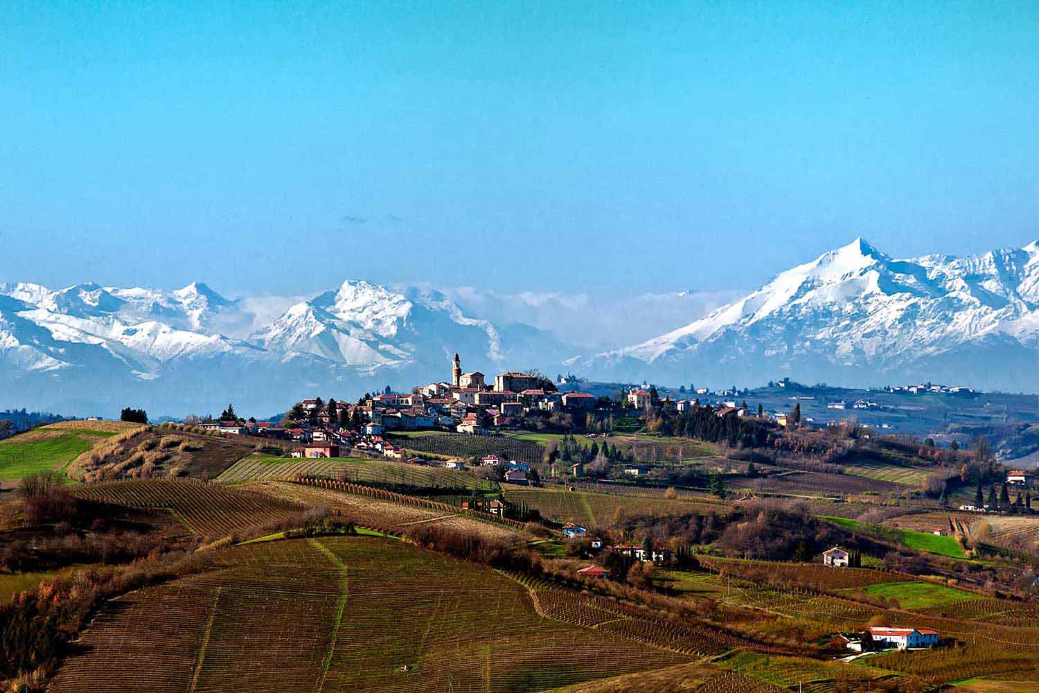 Landscape Monferrato